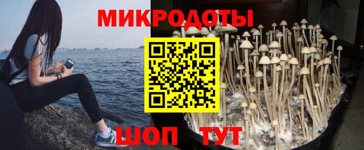 Галлюциногенные грибы Psilocybe  Псилоцибиновые грибы GOLDEN TEACHER  Алексин  Вход с VPN 