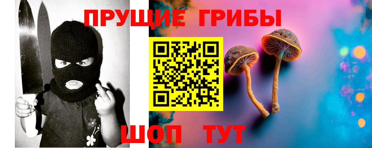Псилоцибиновые грибы мицелий Алексин